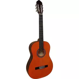 MSA C-20 4/4-es klasszikus gitár