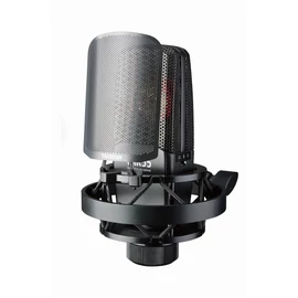 TAKSTAR TAK55 - Multi Pattern Gold Capsule Studio Recording Microphone